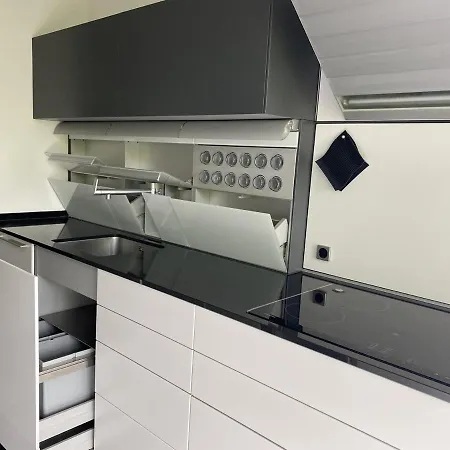 Moderne Terrassenwohnung Mit Blick In Den Luisenpark Mannheim